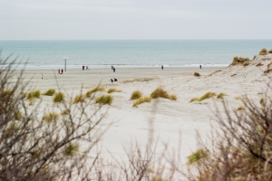 goochelaar zuid-holland tafelgoochelaar zuid holland randstad